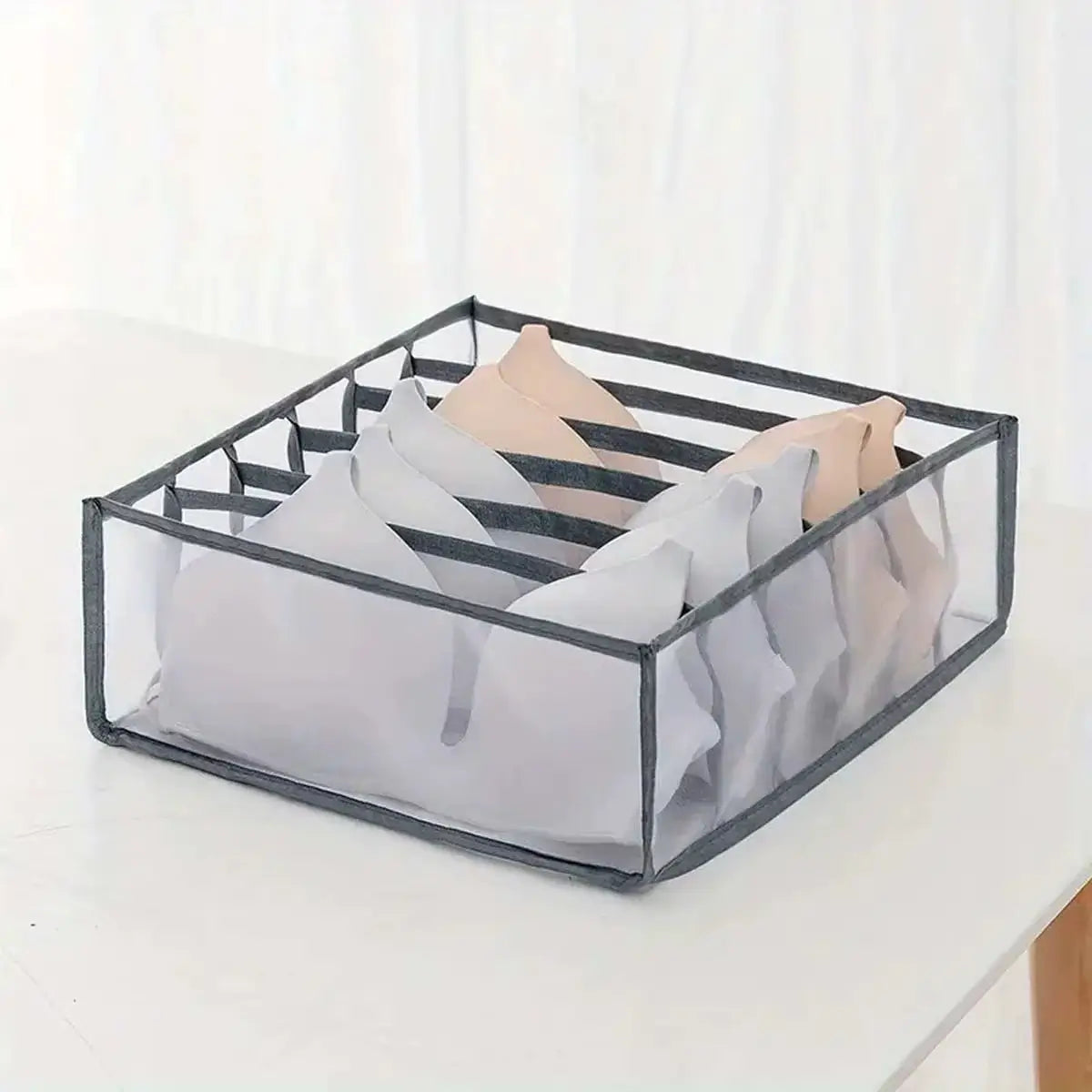 Organizador de Ropa Traslucido