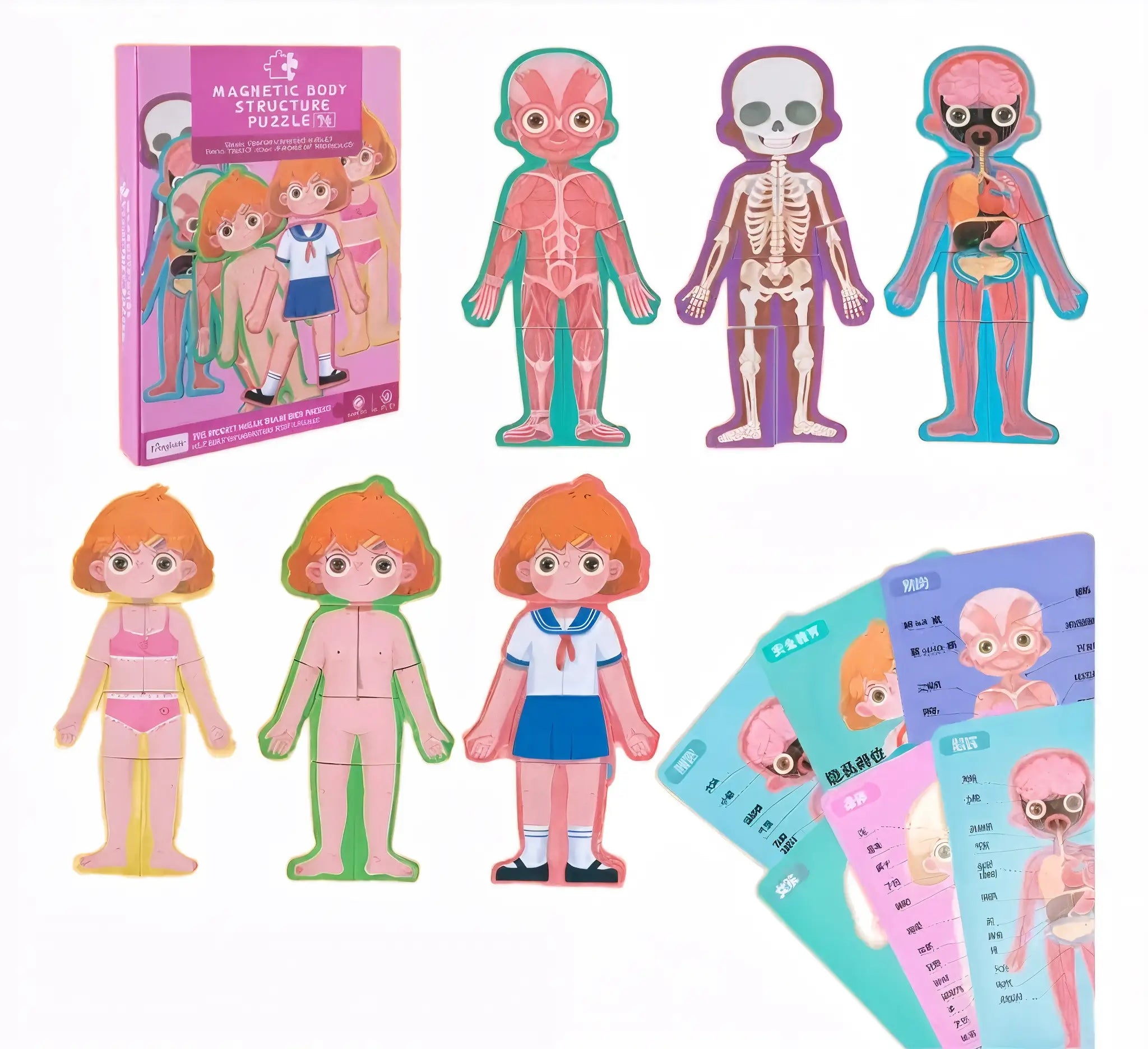 Rompecabezas Magnetico cuerpo humano niña